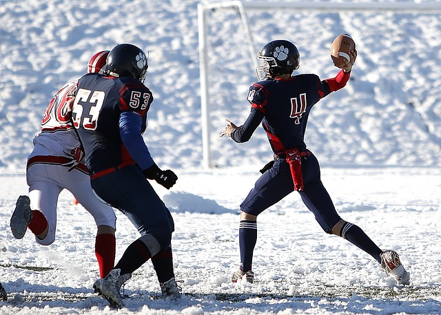 的家庭建设 的家庭建设