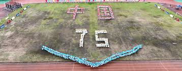 大胆设计的 大胆设计的