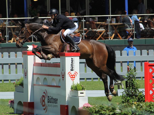 大老鹰队的 大老鹰队的