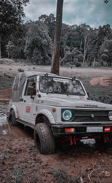 这种年轻化 这种年轻化